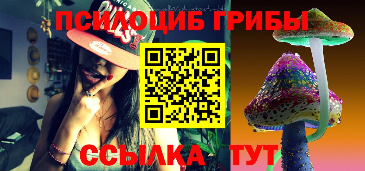 Псилоцибиновые грибы мухоморы  Вход с VPN  Железногорск 